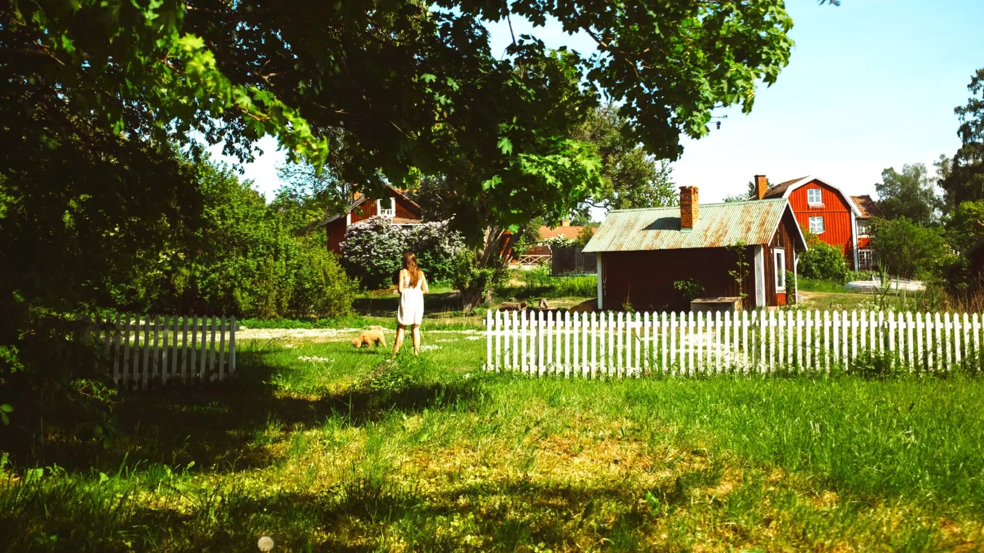 Local Experiences