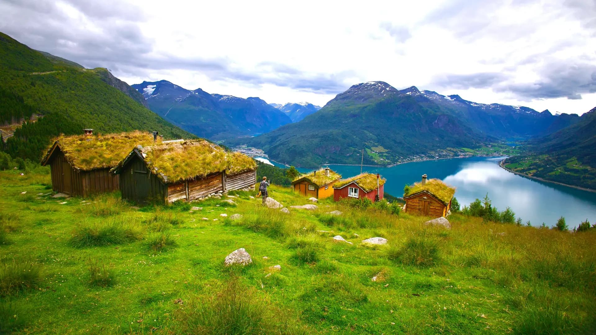 Nature & Landscapes